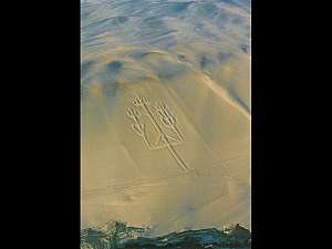 Perou - Petroglyphe de la peninsule du Paracas